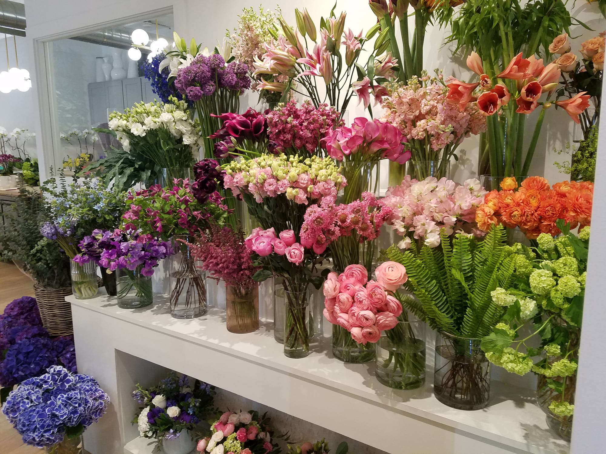Rouvalis Flowers opens doors at new Thompson Street location