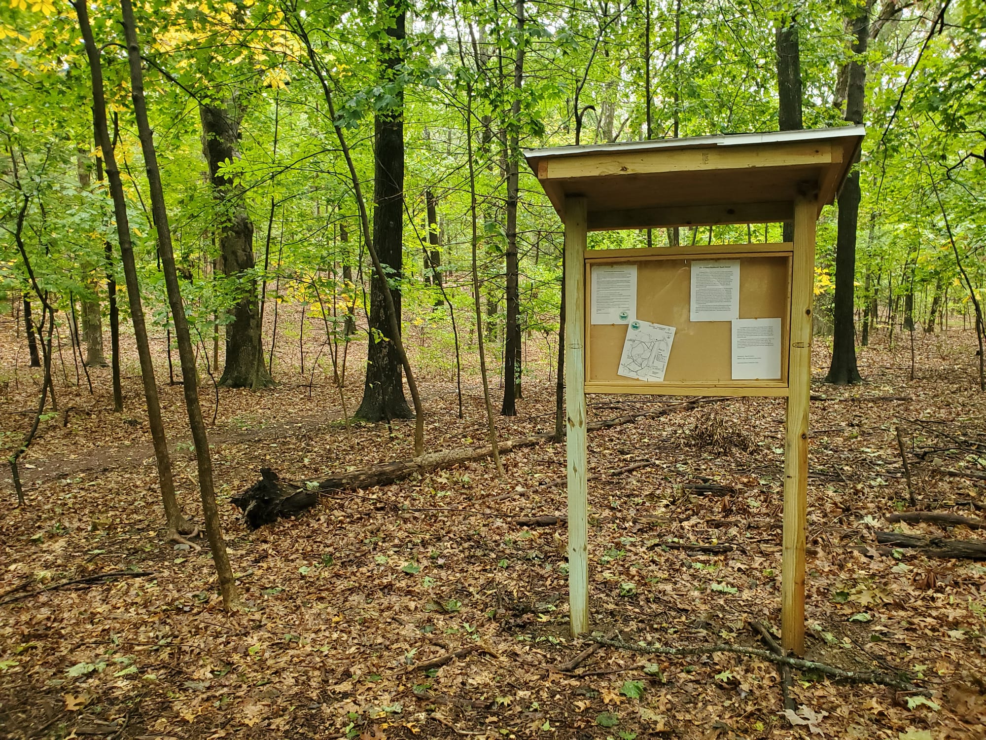 Extensive stewardship plan to guide Winchester Town Forest for next decade