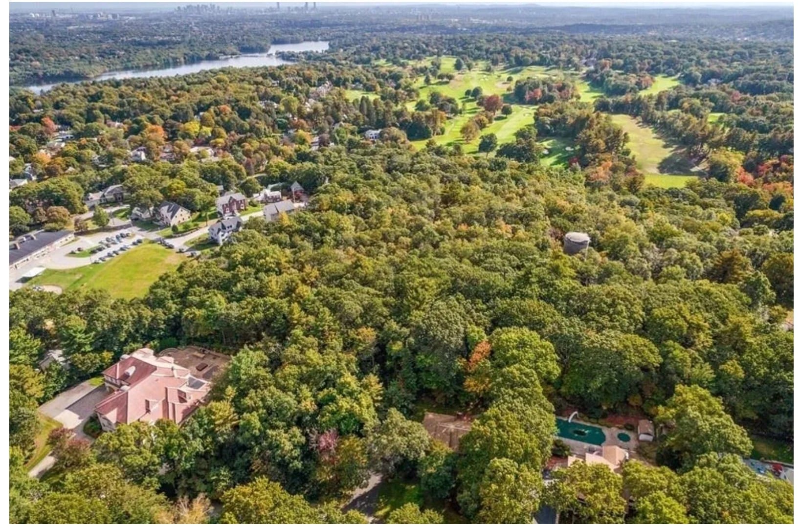 Extensive stewardship plan to guide Winchester Town Forest for next decade