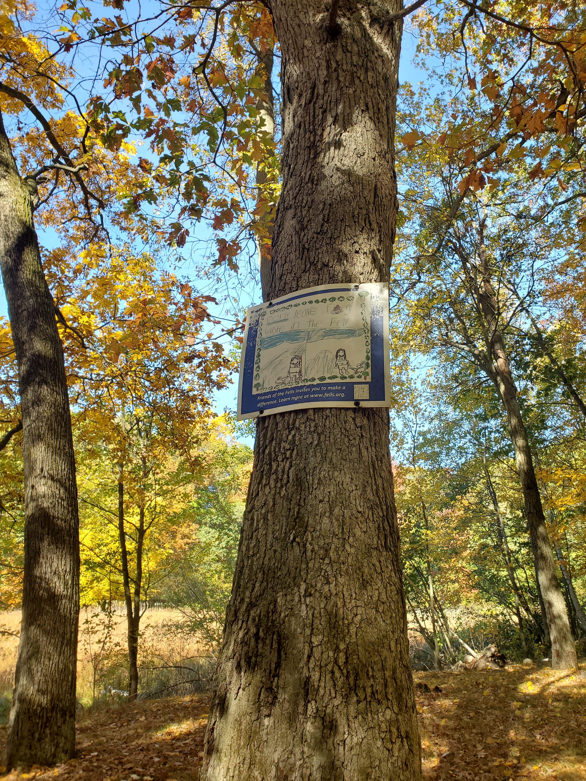 Middlesex Fells disposal stations aim to reduce pet waste bags