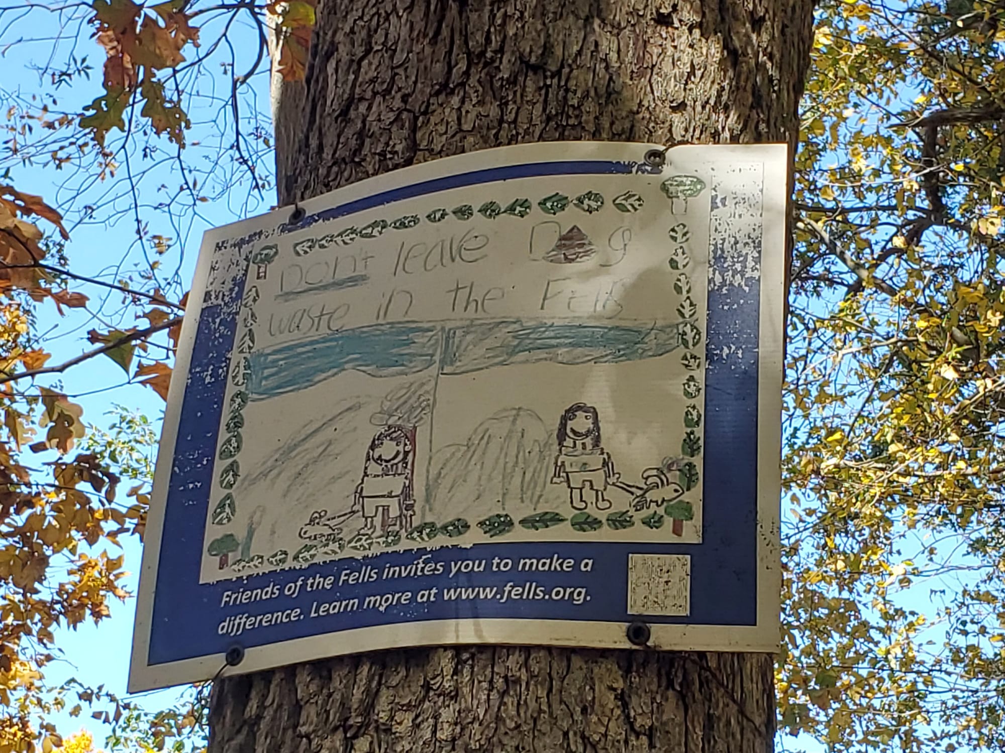 Middlesex Fells disposal stations aim to reduce pet waste bags