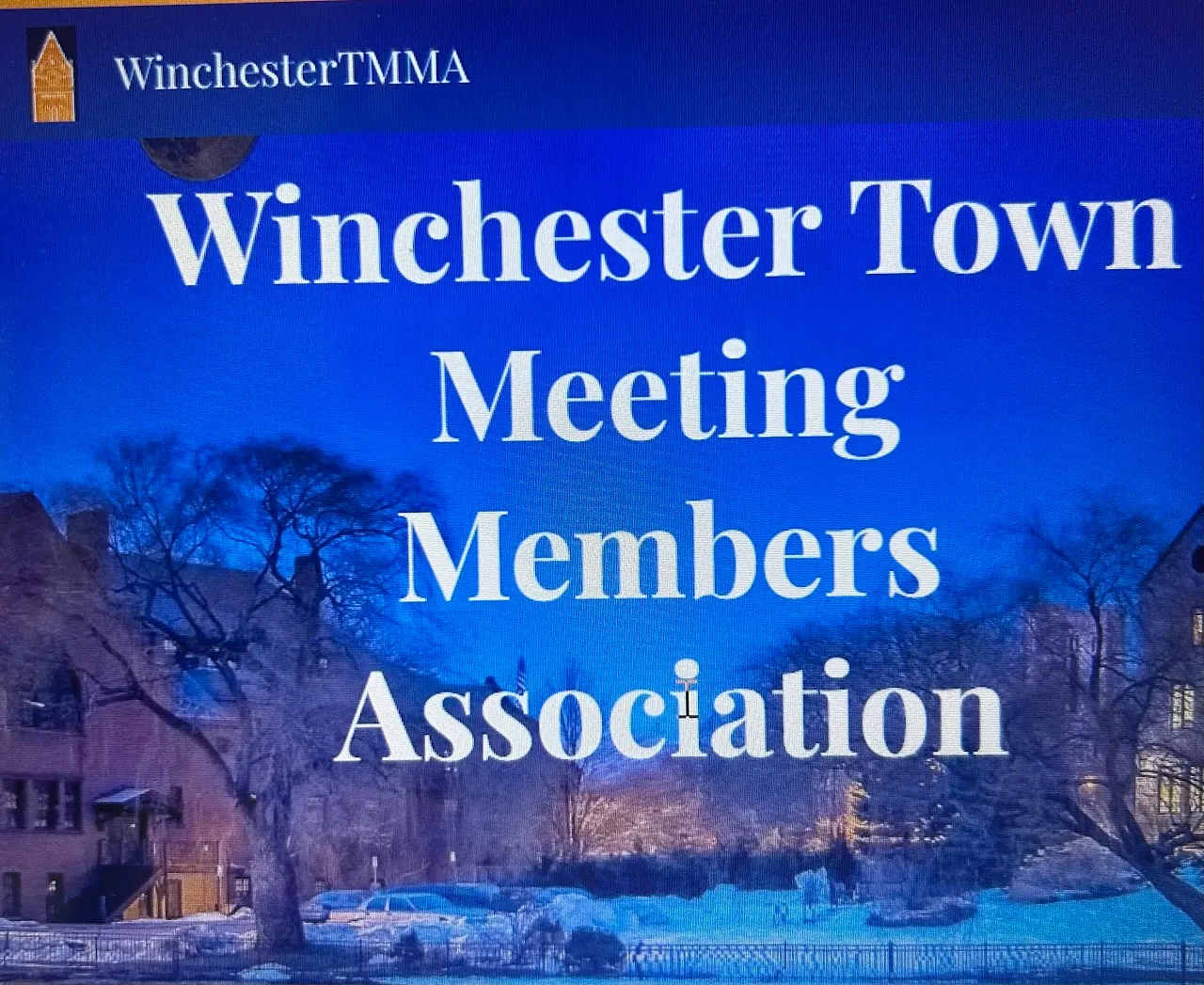 Town Meeting Members Assoc. up and running