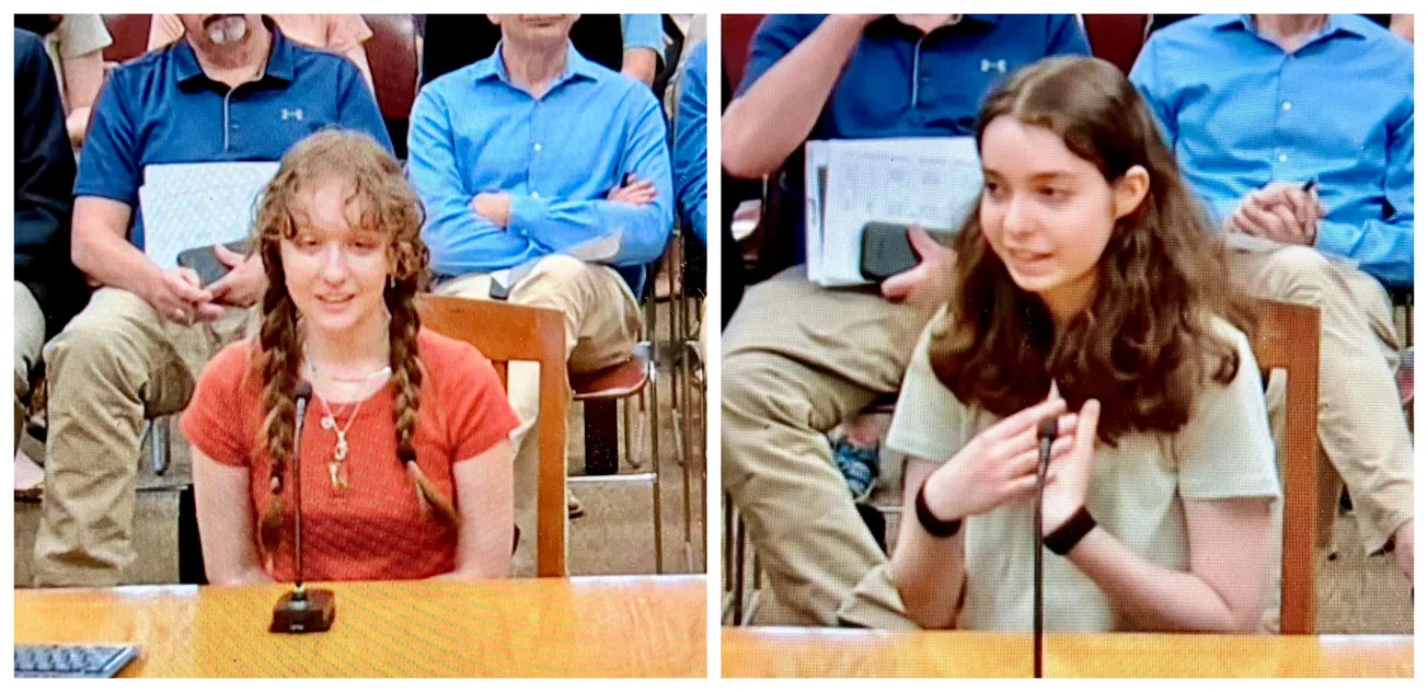 Winchester teen climate action activists vie for seat on Climate Action Advisory Committee