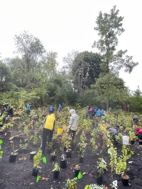 Winchester volunteers plant Fast Forest saplings