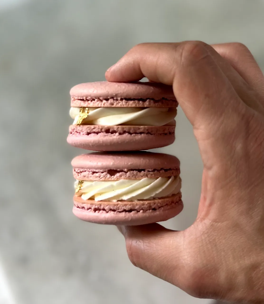 Winchester scientist writes cookbook to master the perfect French macaron