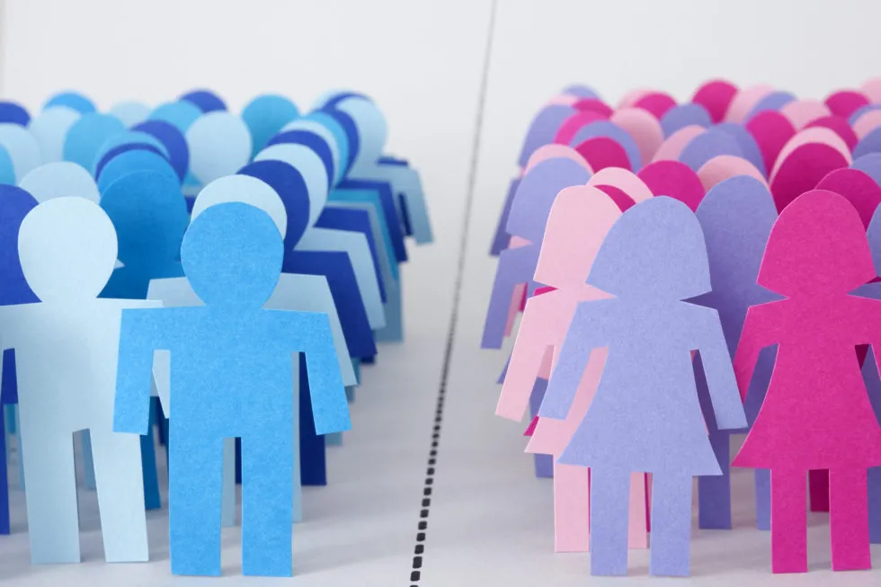 McCall Middle School Civics Project: Equal on Paper, Unequal in Society: Gender Discrimination