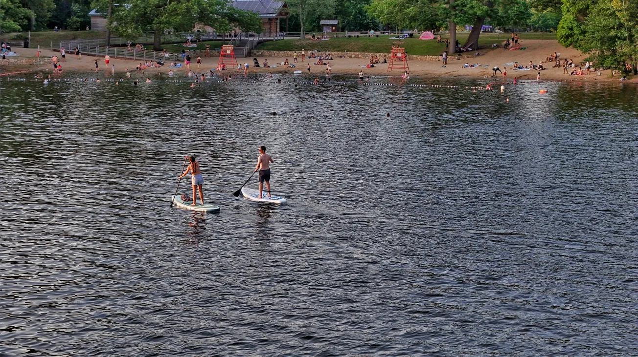 Summer at Shannon Beach in Winchester