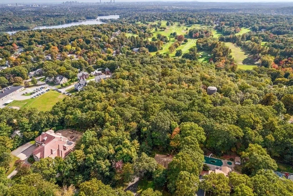 Extensive stewardship plan to guide Winchester Town Forest for next decade