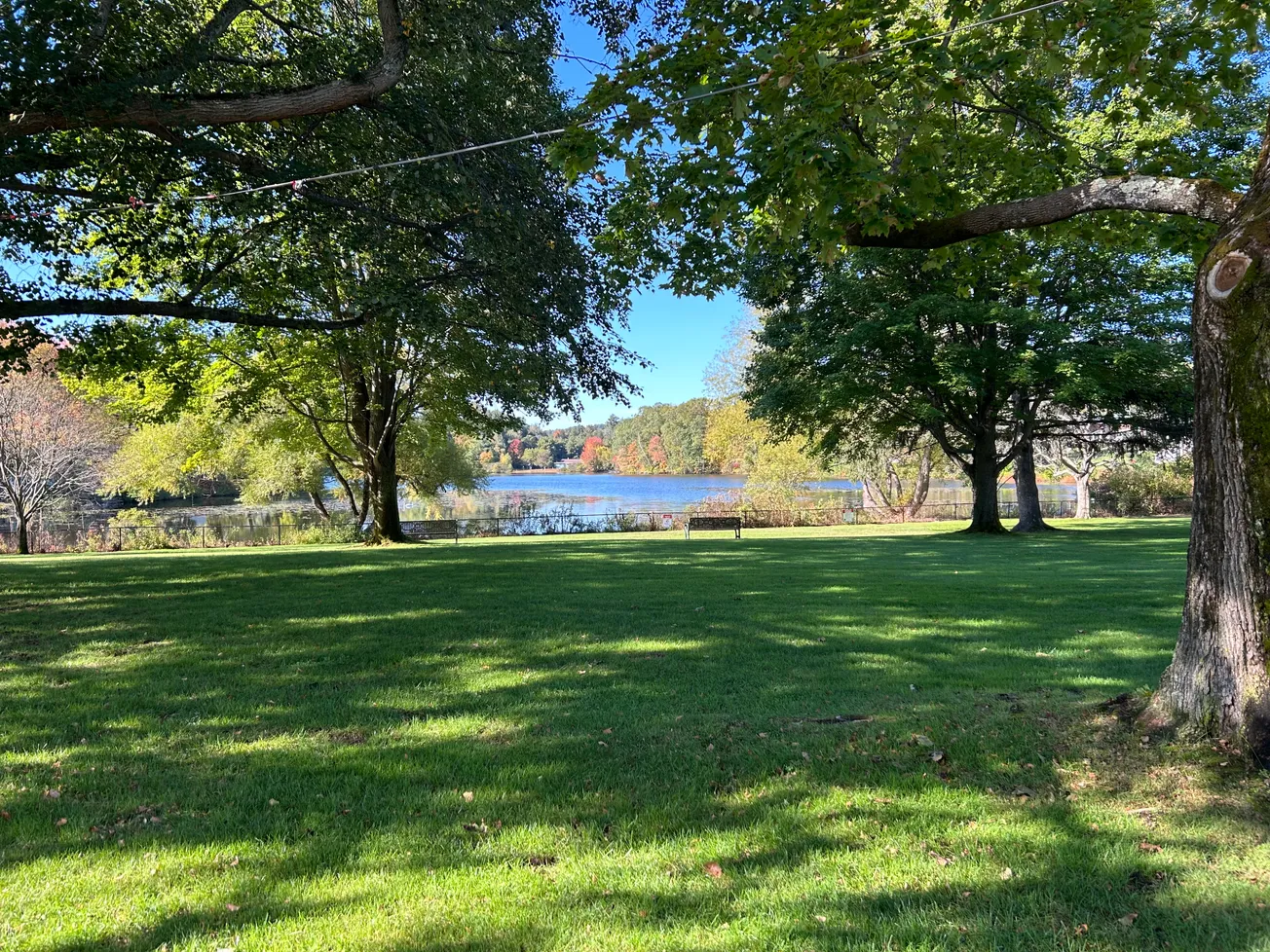 Winchester’s new open space plan calls for cleaning up Wedge Pond
