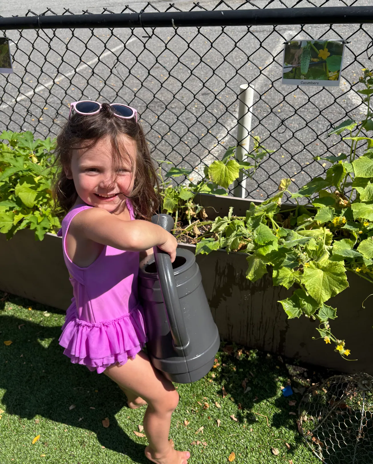 Preschool Social Academy cultivates learning through gardening