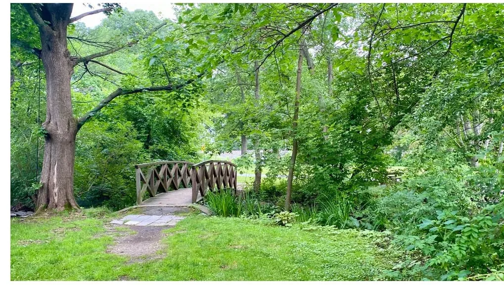Winchester receives update on Davidson Park Stream Restoration project