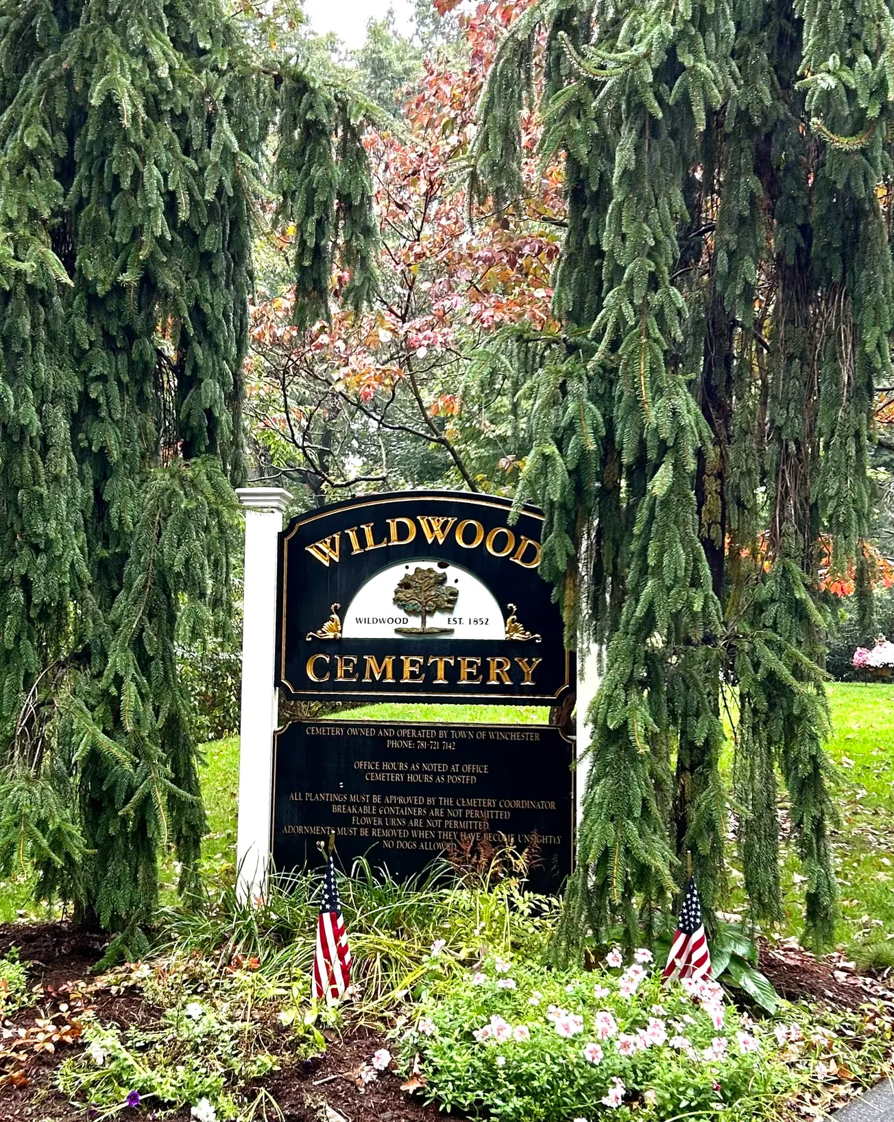 Winchester cemetery committee makes progress on green burials